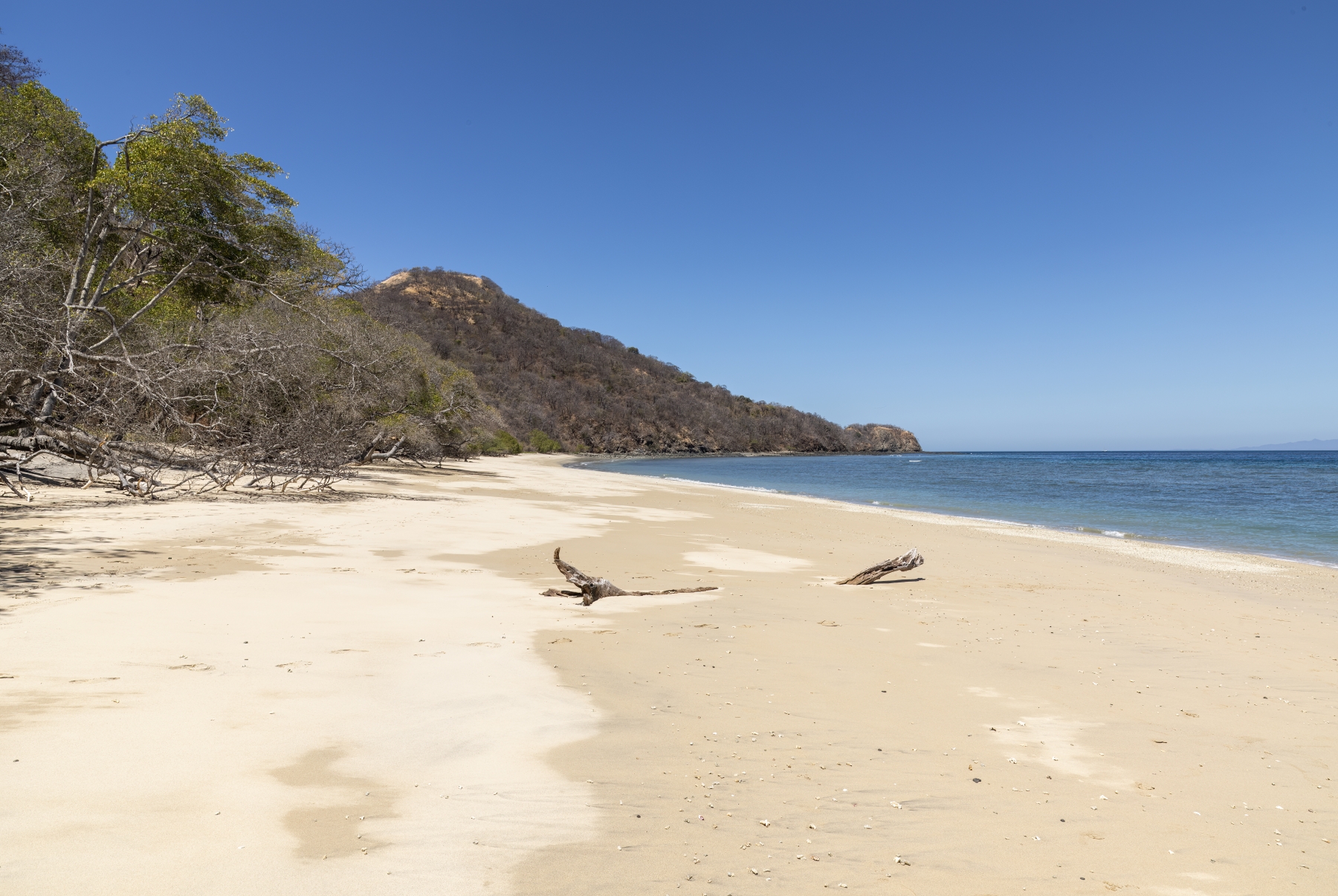 /gallery/central_america/costa_rica/guanacaste/calle punta gorda/Calle Punta Gorda Beach 2024-018_med.jpg